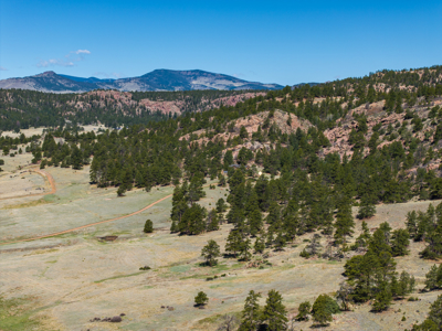 Colorado Equestrian Ranch- 2 BR Ranch Home on 53 Acres With Barn - image 34