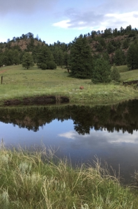 Colorado Equestrian Ranch- 2 BR Ranch Home on 53 Acres With Barn - image 45