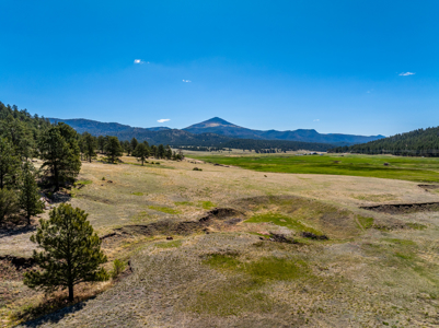 Colorado Equestrian Ranch- 2 BR Ranch Home on 53 Acres With Barn - image 35