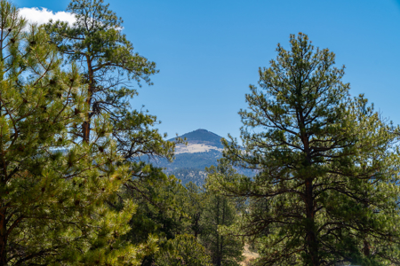 Colorado Equestrian Ranch- 2 BR Ranch Home on 53 Acres With Barn - image 39