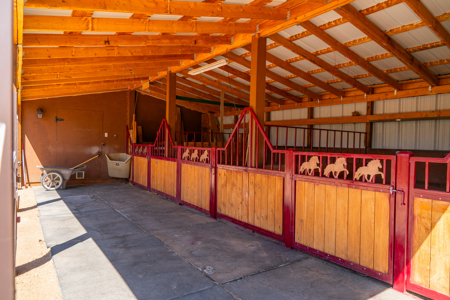 Colorado Equestrian Ranch- 2 BR Ranch Home on 53 Acres With Barn - image 26