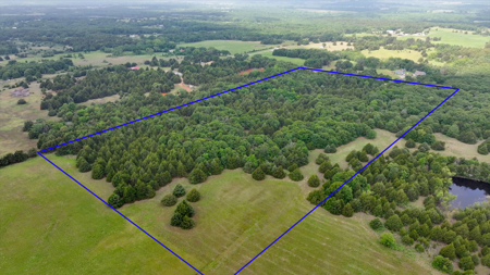 Private Wooded Property Sparks, OK Land For Sale - image 10