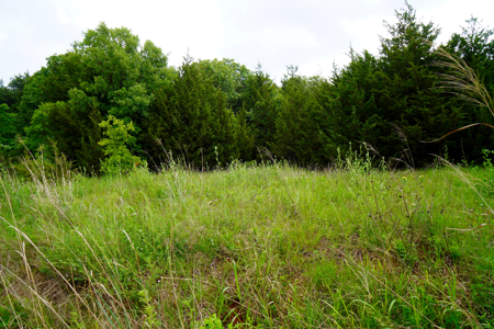 Private Wooded Property Sparks, OK Land For Sale - image 7