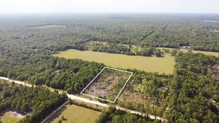 4.78 Acres for Sale in Chiefland, Florida! - image 1