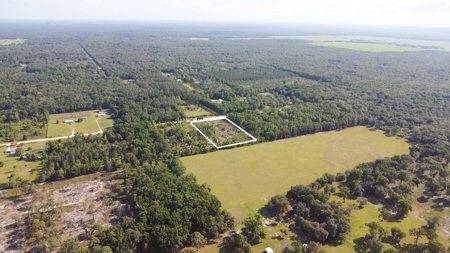 4.78 Acres for Sale in Chiefland, Florida! - image 5