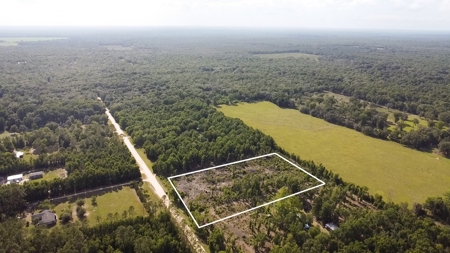 4.78 Acres for Sale in Chiefland, Florida! - image 3