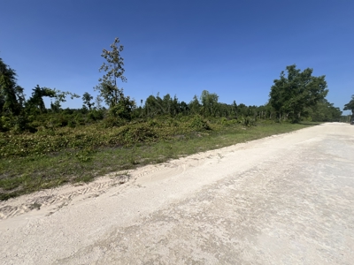 4.78 Acres for Sale in Chiefland, Florida! - image 8