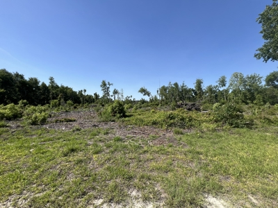 4.78 Acres for Sale in Chiefland, Florida! - image 9