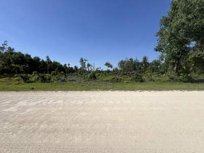 4.78 Acres for Sale in Chiefland, Florida! - image 7