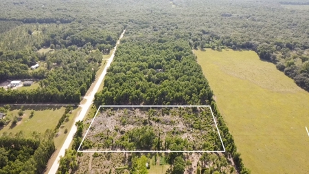 4.78 Acres for Sale in Chiefland, Florida! - image 4