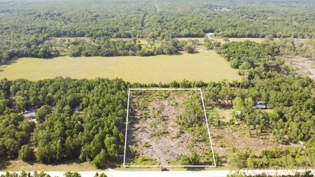 4.78 Acres for Sale in Chiefland, Florida! - image 2