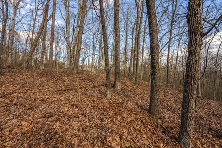 Building Lot for Sale in Cross Junction VA - image 1