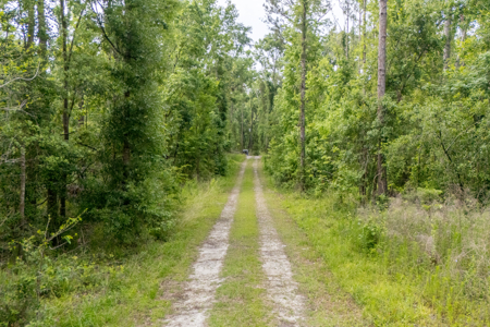 Riverfront Home on 4.64 Acres for Sale in Jasper, Florida - image 19