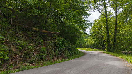 Freedom at the Foothills:  Unrestricted East TN- Owner Financing - image 20