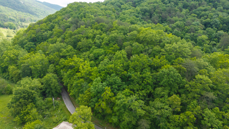 Freedom at the Foothills:  Unrestricted East TN- Owner Financing - image 14