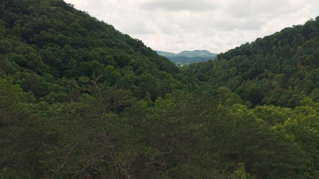 Freedom at the Foothills:  Unrestricted East TN- Owner Financing - image 8