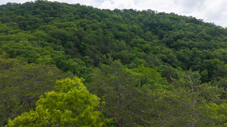 Freedom at the Foothills:  Unrestricted East TN- Owner Financing - image 2