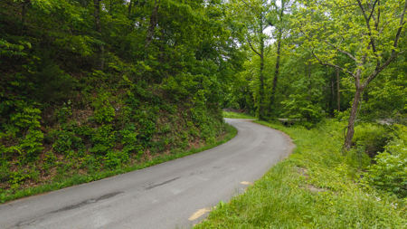 Freedom at the Foothills:  Unrestricted East TN- Owner Financing - image 11