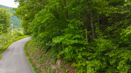 Freedom at the Foothills:  Unrestricted East TN- Owner Financing - image 17