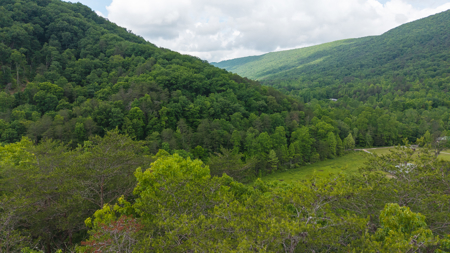 Freedom at the Foothills:  Unrestricted East TN- Owner Financing - image 4