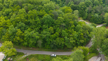 Freedom at the Foothills:  Unrestricted East TN- Owner Financing - image 13