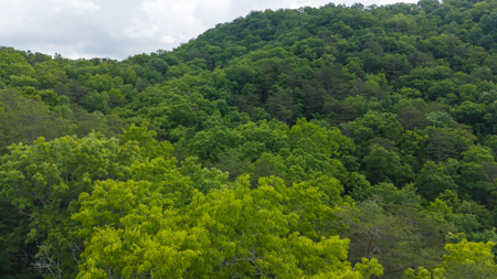 Freedom at the Foothills:  Unrestricted East TN- Owner Financing - image 3