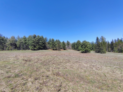 Land with Cabin for Sale in Glidden, Wisconsin - image 42