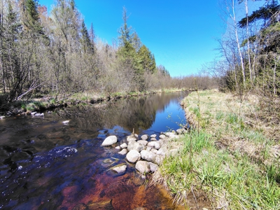 Land with Cabin for Sale in Glidden, Wisconsin - image 27