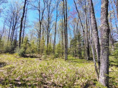 Land with Cabin for Sale in Glidden, Wisconsin - image 24