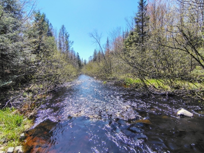 Land with Cabin for Sale in Glidden, Wisconsin - image 28