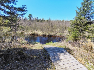 Land with Cabin for Sale in Glidden, Wisconsin - image 23