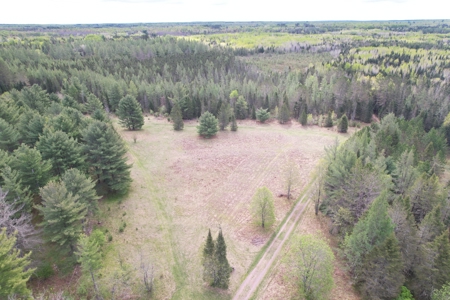 Land with Cabin for Sale in Glidden, Wisconsin - image 39