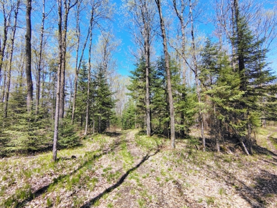 Land with Cabin for Sale in Glidden, Wisconsin - image 19