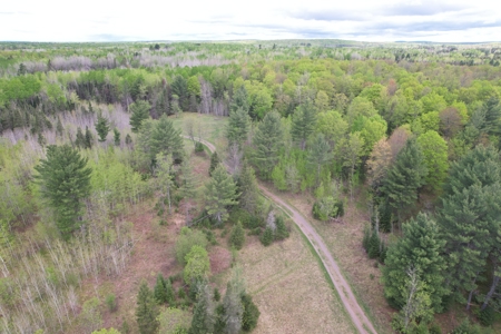 Land with Cabin for Sale in Glidden, Wisconsin - image 38