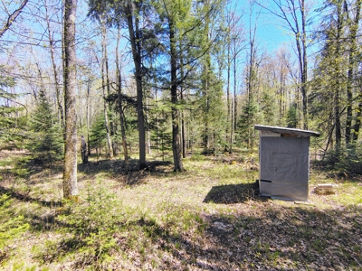 Land with Cabin for Sale in Glidden, Wisconsin - image 25