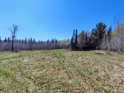 Land with Cabin for Sale in Glidden, Wisconsin - image 29