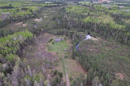 Land with Cabin for Sale in Glidden, Wisconsin - image 1