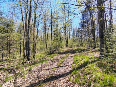 Land with Cabin for Sale in Glidden, Wisconsin - image 26