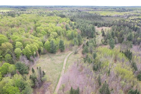 Land with Cabin for Sale in Glidden, Wisconsin - image 22