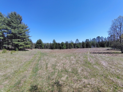 Land with Cabin for Sale in Glidden, Wisconsin - image 9