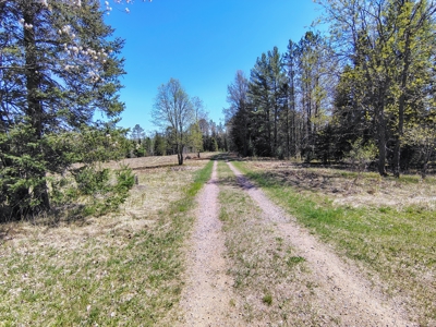Land with Cabin for Sale in Glidden, Wisconsin - image 20