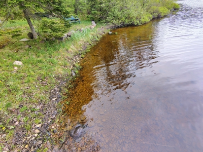 Land with Cabin for Sale in Marengo, Wisconsin - image 19