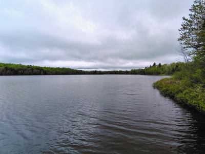Land with Cabin for Sale in Marengo, Wisconsin - image 21