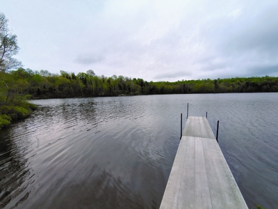Land with Cabin for Sale in Marengo, Wisconsin - image 20