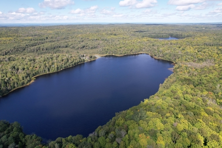 Land with Cabin for Sale in Marengo, Wisconsin - image 16
