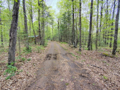 Land with Cabin for Sale in Marengo, Wisconsin - image 22