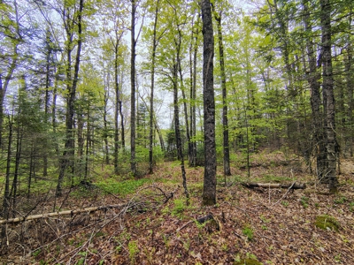 Land with Cabin for Sale in Marengo, Wisconsin - image 25