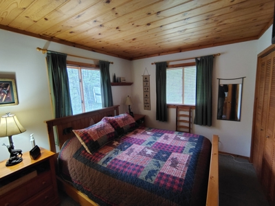 Land with Cabin for Sale in Marengo, Wisconsin - image 12
