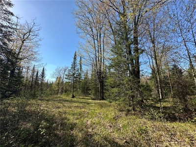 20 Acres of Wooded Recreational Land For Sale in Barnum MN - image 11