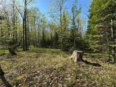 20 Acres of Wooded Recreational Land For Sale in Barnum MN - image 3